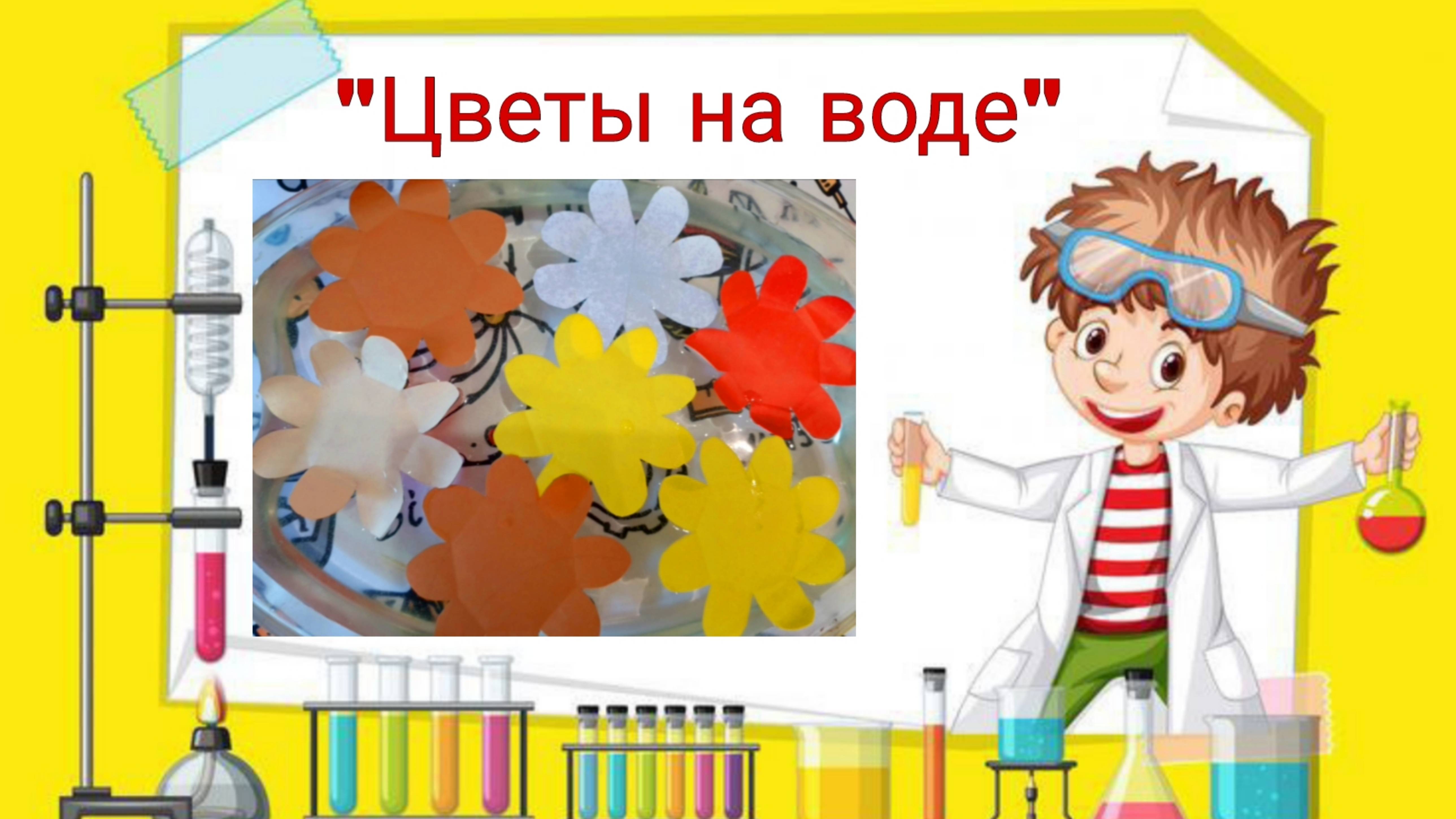 Цветы на воде.