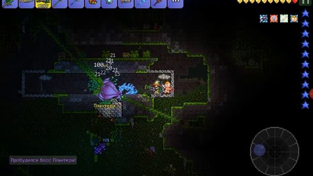 як вбити пантеру в (Terraria) НАЇЛУЧІ СТРІЛИ