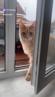 clip1820698_456239480