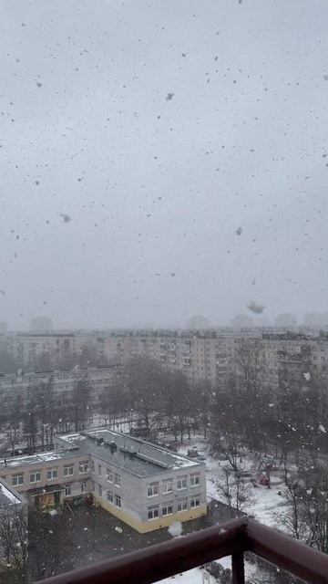 Снег размером с ворон