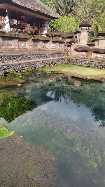Pura Tirta a day in the Temple 🛕