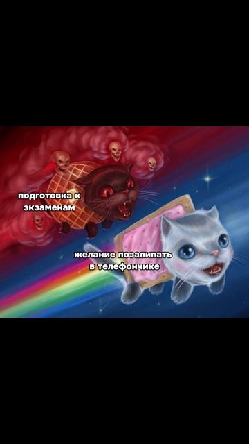 Ставь лайк, если жиза 👍🏻