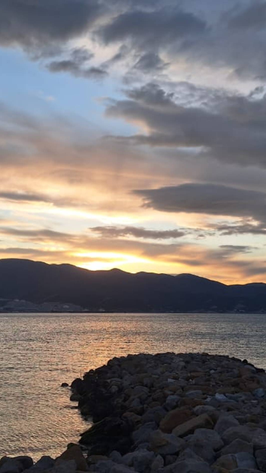 Ходулочник