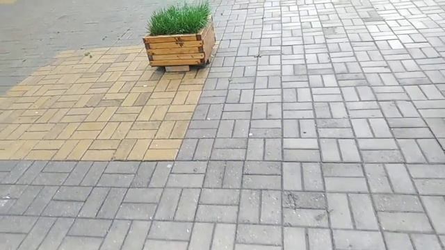 Декрет правителя. Автор Родион Березов. К воспоминанию страданий Христовых