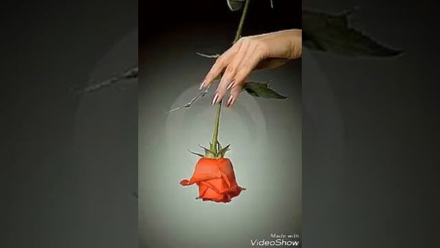 💣Чаро охири💘 ту 🎵монди маро танхо💔