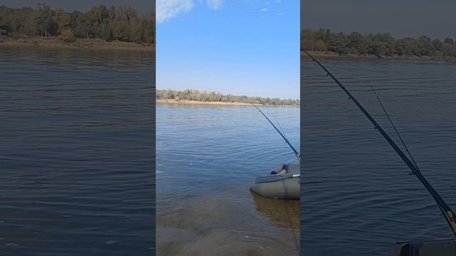 "Ловля рыбы на реке Ахтуба"