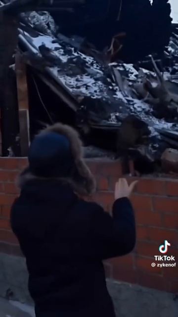 1000012607.mp4