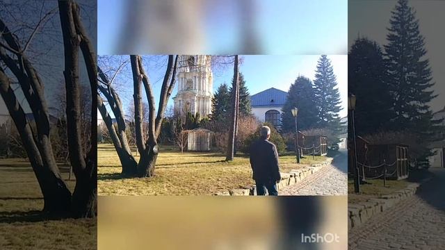 Держаться древа жизни...