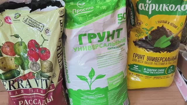 Сравниваем и выбираем ГРУНТ ДЛЯ РАССАДЫ