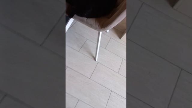8 часть жульен