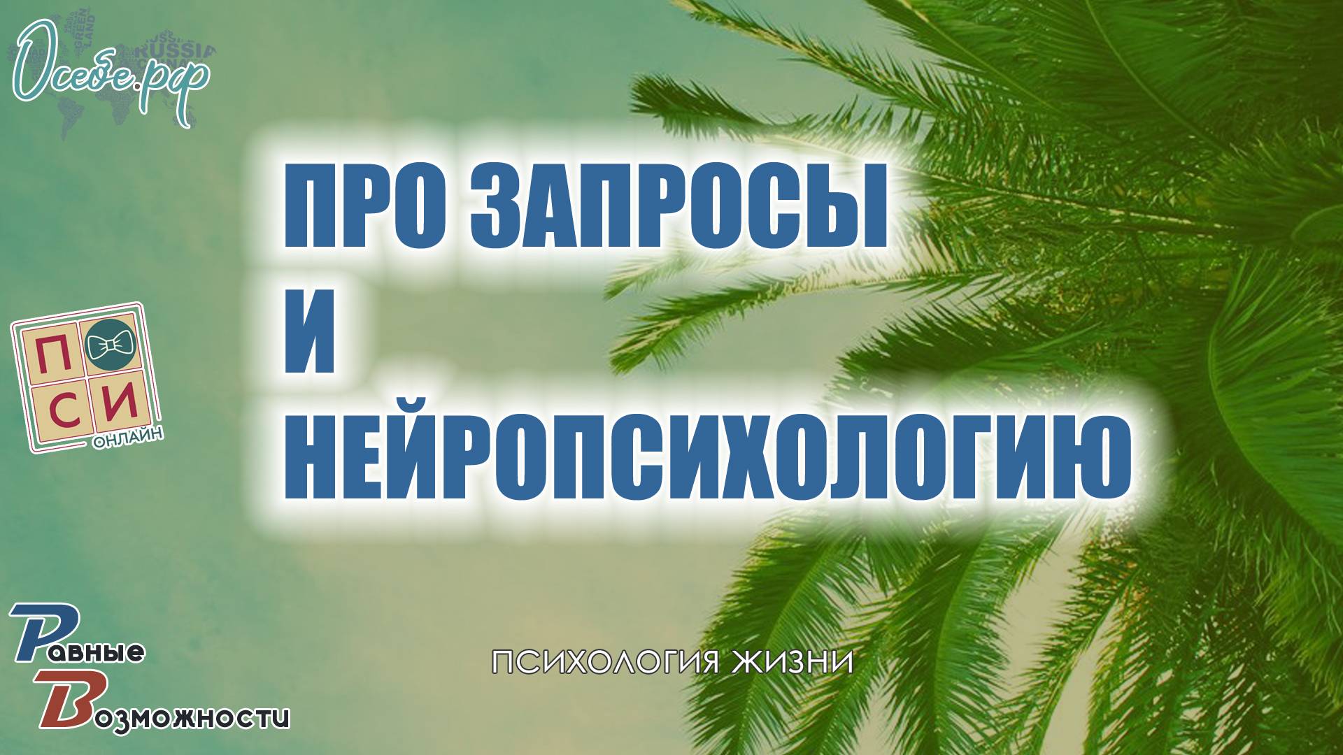 Про запросы и нейропсихологию Центр – студия развития и психологии Равные Возможности Сергиев Поса