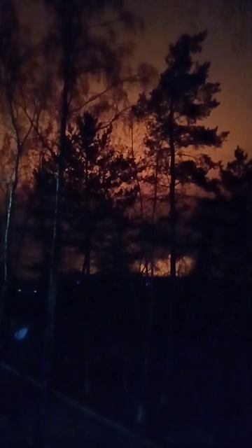 Загородный пожар осветил ночное небо