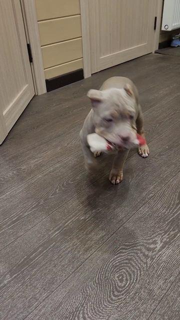 1000154070.mp4