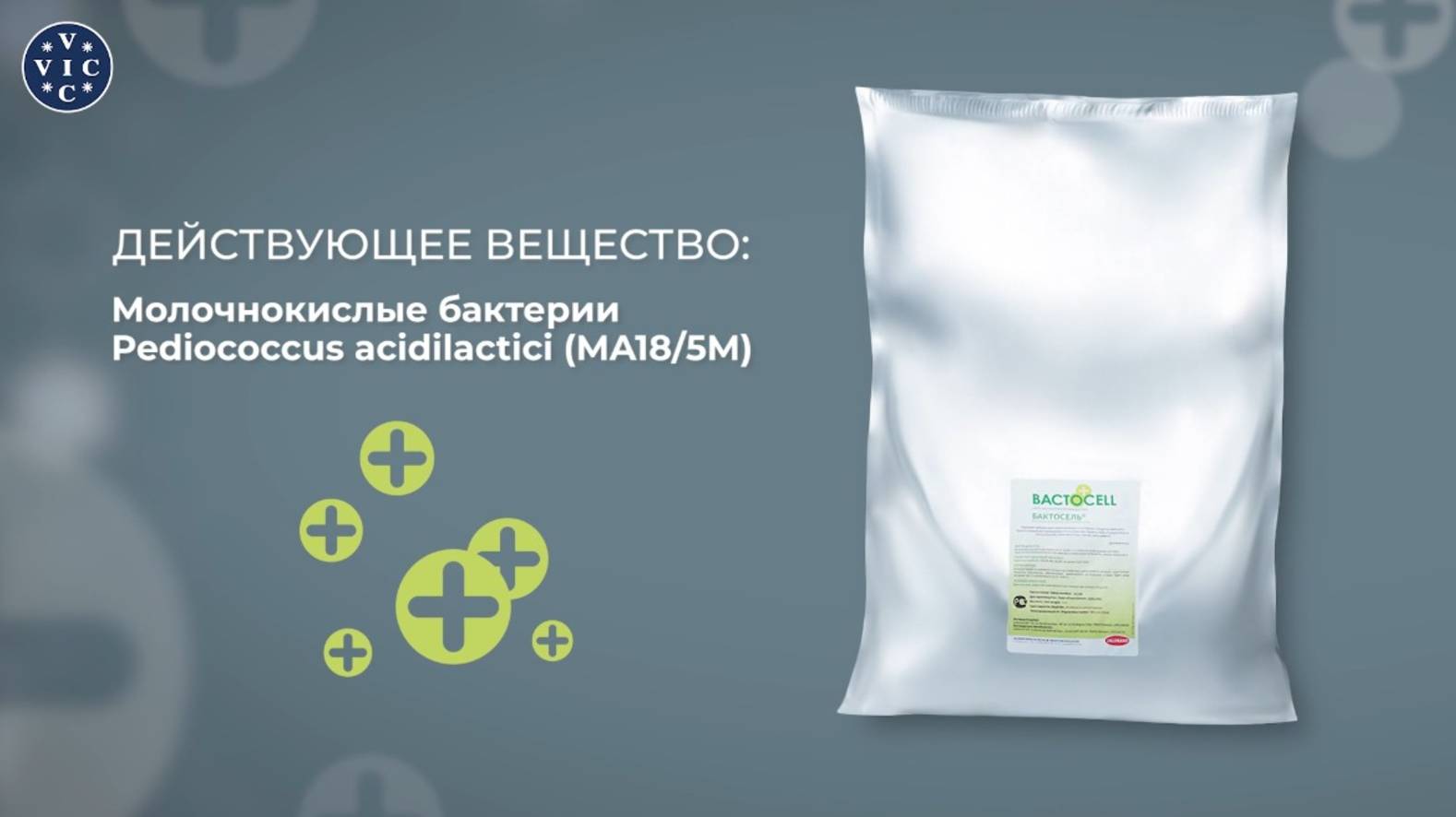 Эффективный инструмент для профилактики заболеваний ЖКТ свиней - Бактосель