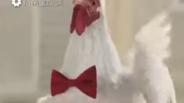 Питух король