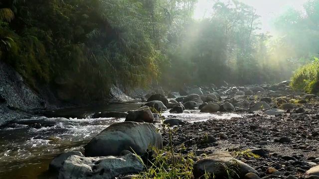 Звуки природы, шумного потока воды утренней реки. Красивые валуны на берегу.