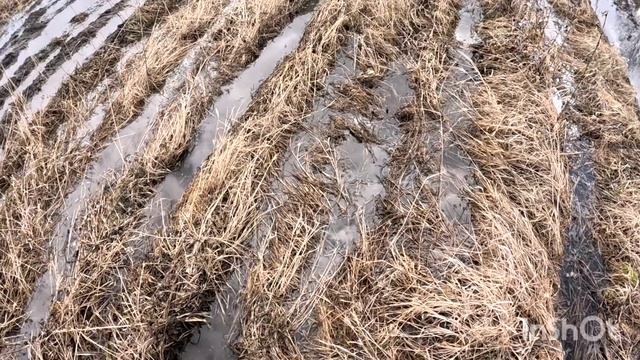 Мы снова едем на линзу