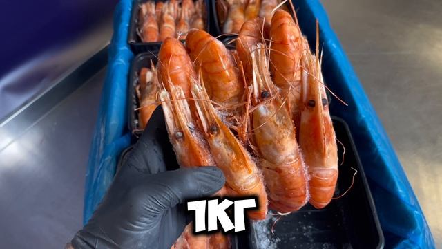 Гигант среди Российских диких креветок