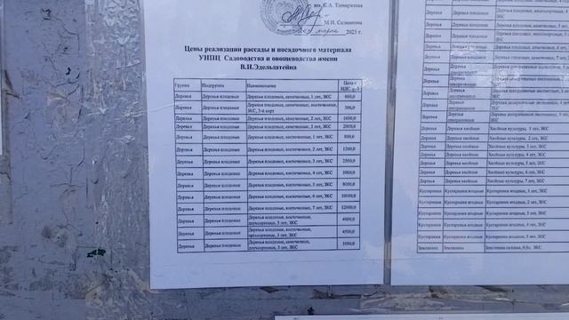 Саженцы. Прейскурант. Мичуринский сад.