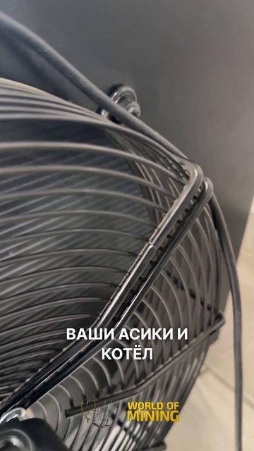 🌞КРИПТОКОТЁЛ ЛЕТОМ: 3 СПОСОБА ПРИМЕНЕНИЯ В ЖАРУ #майнинг #инвестиции #криптовалюта #криптокотел