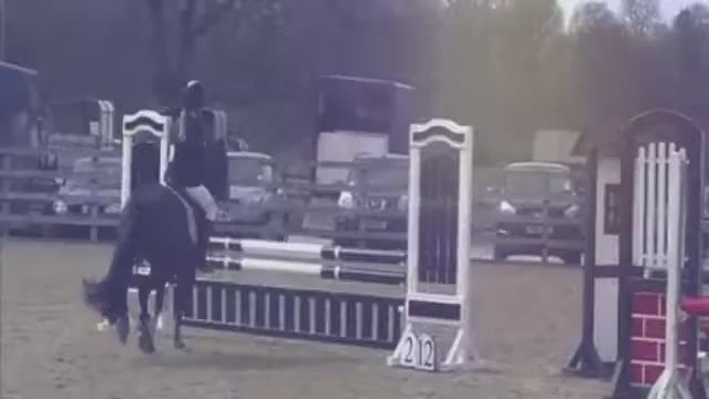TEAM SHOWJUMPING WE WON WHOOO!!! xx