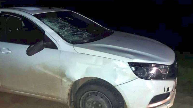 На Ставрополье начинающий водитель сбил насмерть пешехода