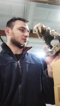 череп крокодила