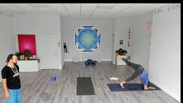 Skanda Yoga Vinyasa Class (Blue Hand) level 3 with Anand