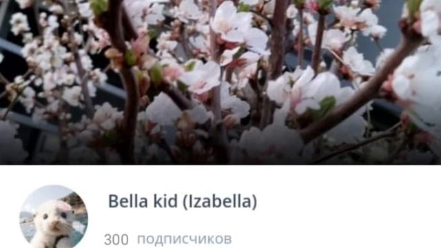трек на 300 подписчиков 