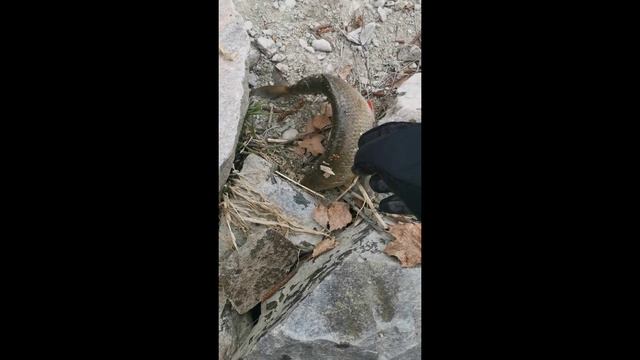 Неплохо открылся по открытой воде!