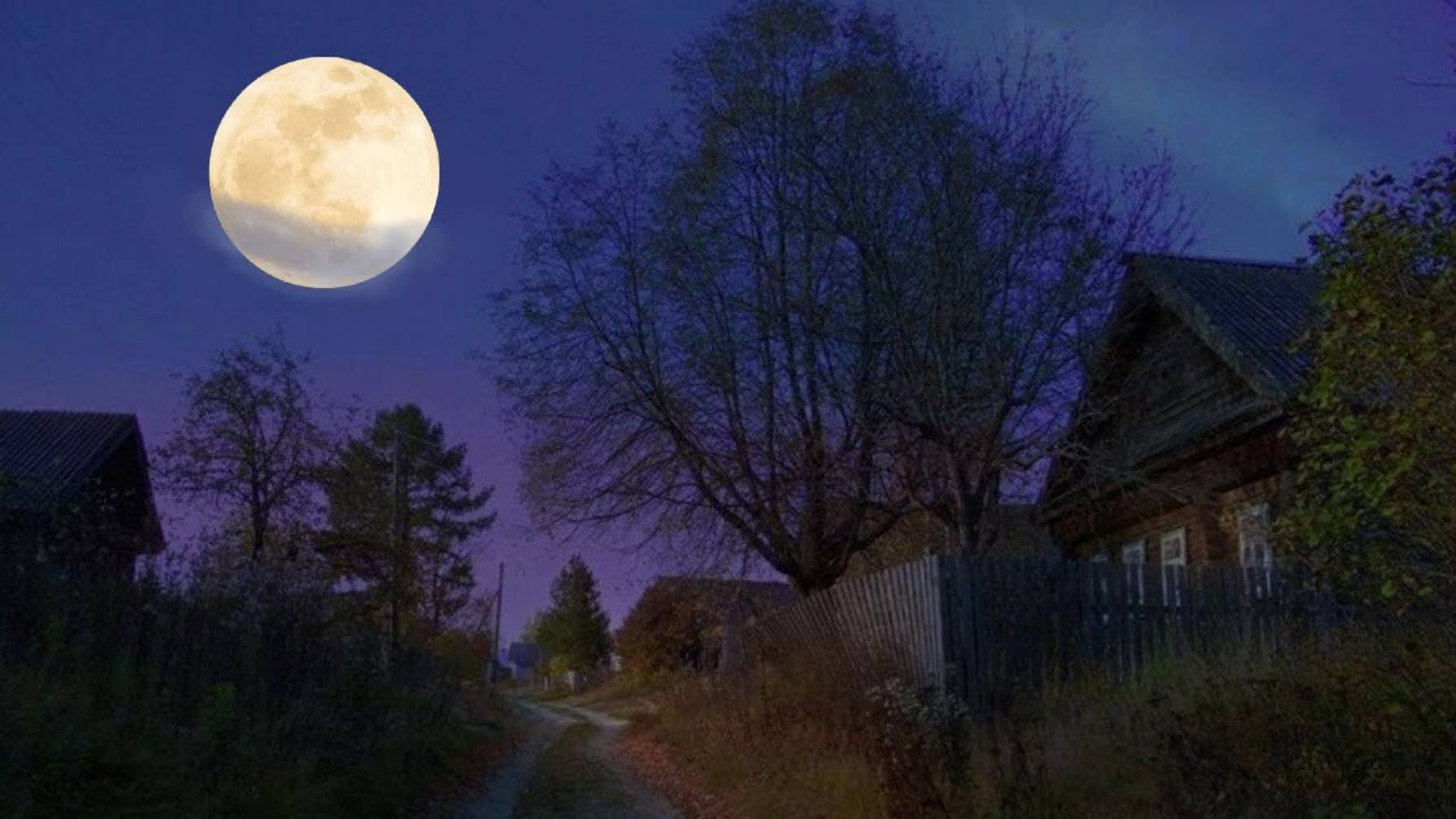 🌕🌗🌑ℎờҸĤӸê ℨᗹ௶Ҡน ∂ΈҏÈᏰΈᏥѢ🌑🌓🌕