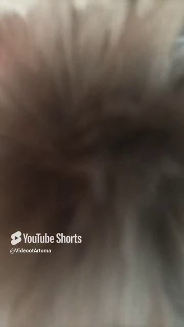 1 июня 2024 г..mp4