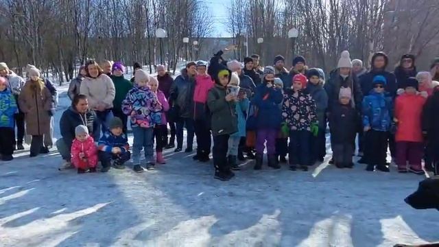 И лают, и кусают, а преступников не пускают
