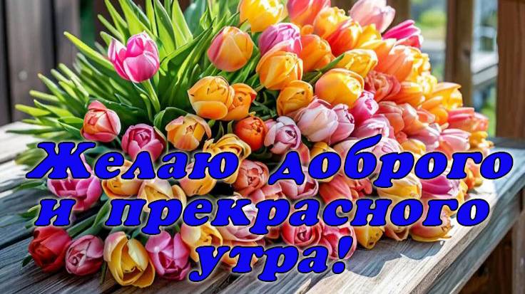 Желаю доброго и прекрасного утра.