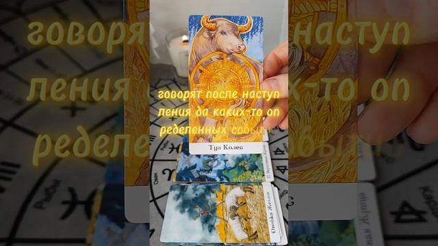 Мысли🧐 чувства ⁉️ действия 🔮