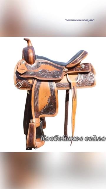 Виды сëдел для верховой езды.