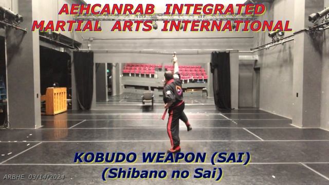Aehcanrab Kobudo Weapon (Sai)