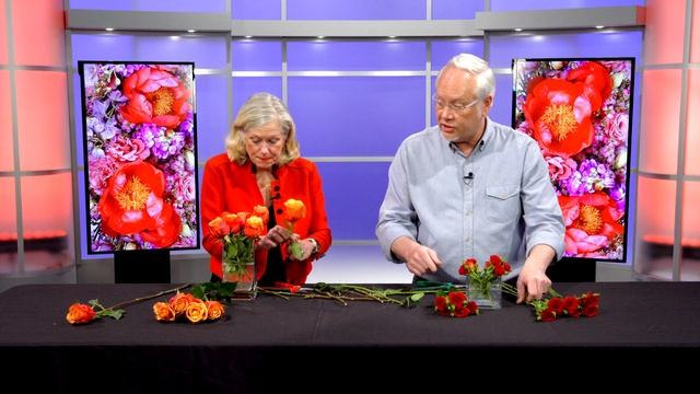 What's the Secret Rose Code? - Living in Bloom with J Schwanke