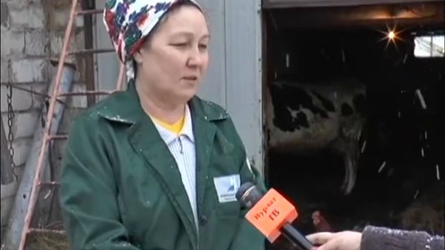 Больше скотины – реальнее доход
