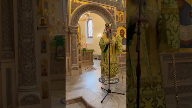 Проповедь епископа Павлово-Посадского Силуана в Вербное воскресенье 2025