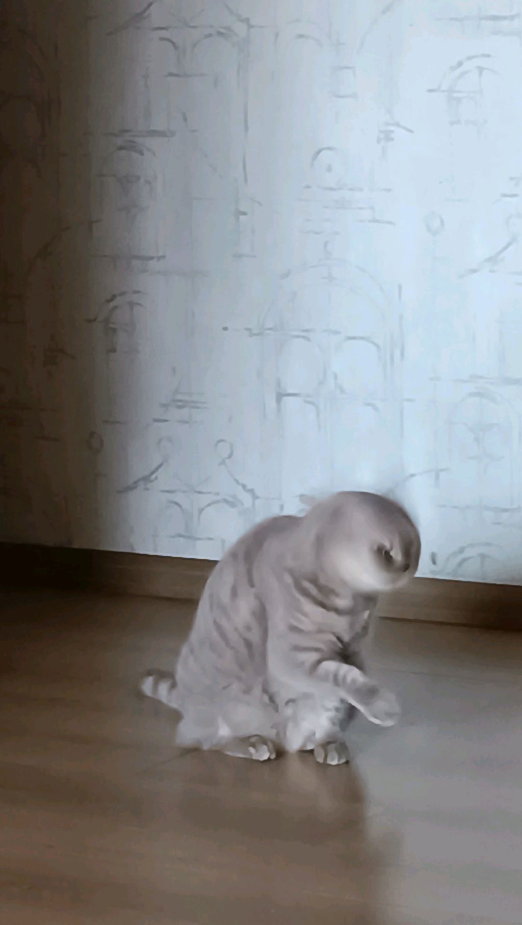 г