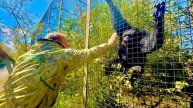 Я в УЖАСЕ от того, что узнала от Олега Зубкова после смерти сотрудника Московского ЗОО отУКУСА ЗМЕИ