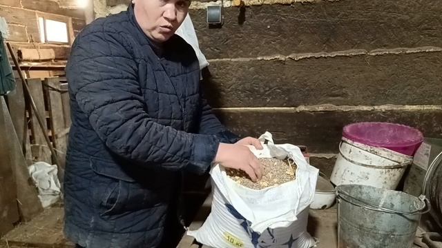 Скоро будем есть кузнечиков. Наше хозяйство. Весна- горячая пора.