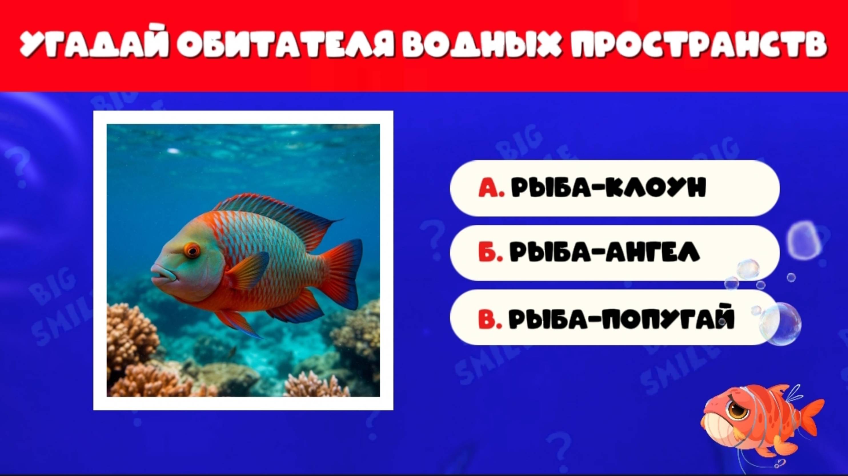 УГАДАЙ 30 ОБИТАТЕЛЕЙ 🪼🐠🐡 ВОДНЫХ ПРОСТРАНСТВ ПО ФОТО