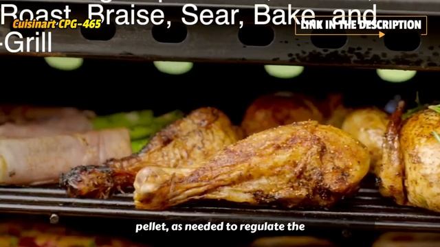 Cuisinart CPG 465 Portable Wood Pellet Grill & Smoker Review