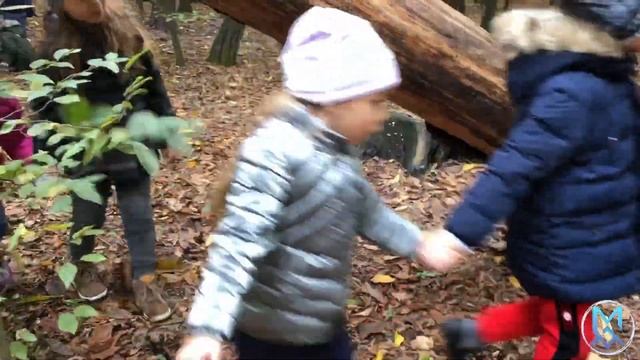 Епоха мужності в дитячому садку. Похід в ліс. НВК "Михаїл"