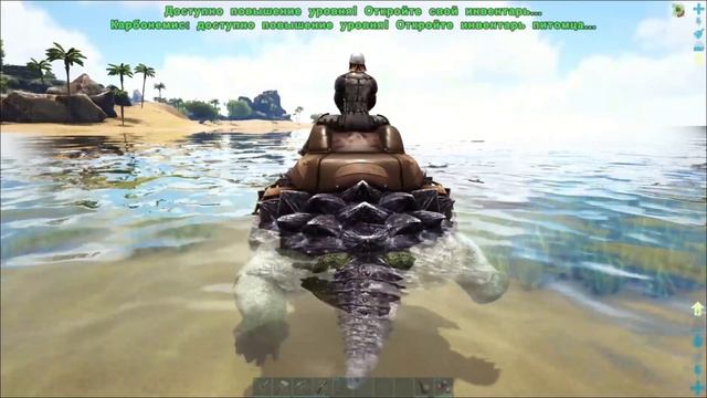 АРК 🐚 Водные процедуры.