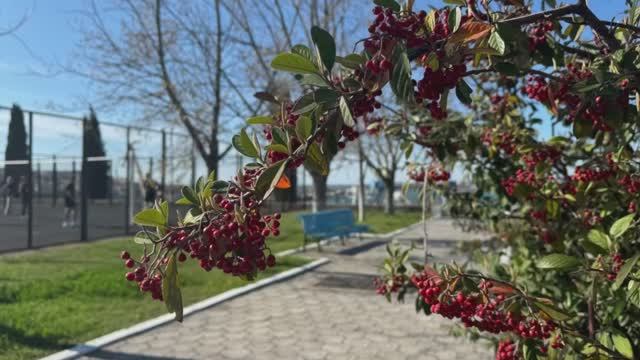 Скамейка возле входа в университет - Александра Власюк