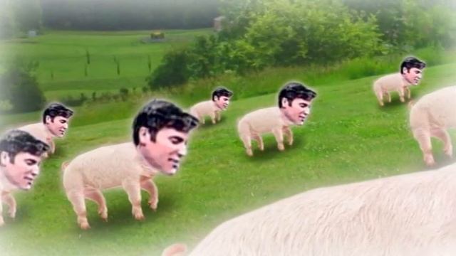 Sweatin' like a farm animal, cool as a daisy