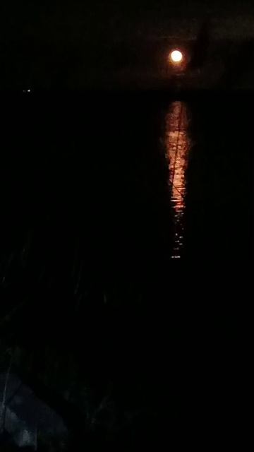 Красота на рыбалке